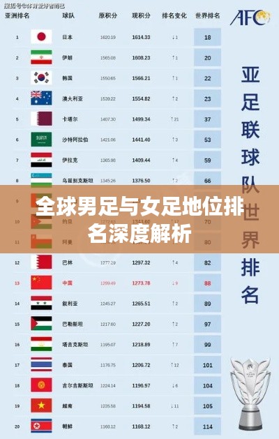 全球男足与女足地位排名深度解析