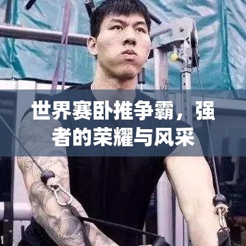世界赛卧推争霸，强者的荣耀与风采