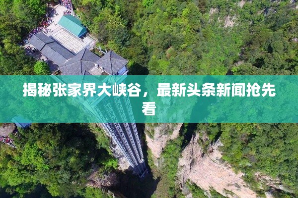 2025年5月27日 第5页