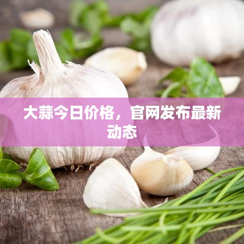 2025年5月27日 第4页