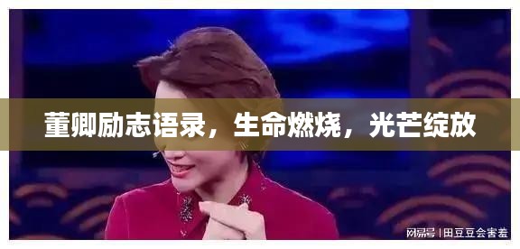 董卿励志语录，生命燃烧，光芒绽放