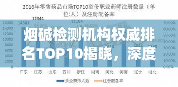烟碱检测机构权威排名TOP10揭晓，深度解读与分析