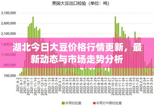 湖北今日大豆价格行情更新，最新动态与市场走势分析