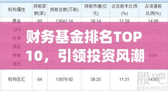 财务基金排名TOP10，引领投资风潮的强者力量
