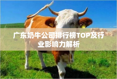 广东奶牛公司排行榜TOP及行业影响力解析