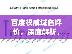 百度权威域名评价，深度解析，洞悉行业地位