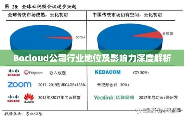 Bocloud公司行业地位及影响力深度解析