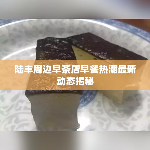 陆丰周边早茶店早餐热潮最新动态揭秘