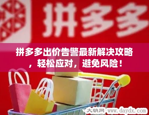 拼多多出价告警最新解决攻略，轻松应对，避免风险！