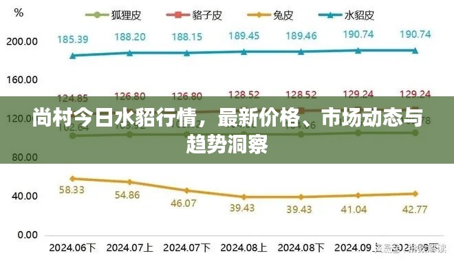 尚村今日水貂行情，最新价格、市场动态与趋势洞察