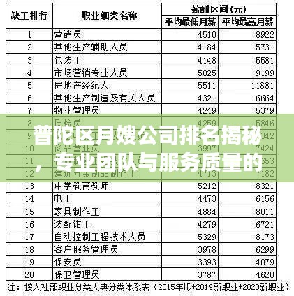 普陀区月嫂公司排名揭秘，专业团队与服务质量的市场概览