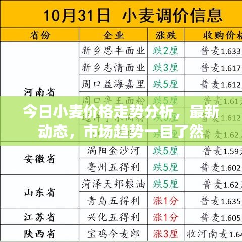今日小麦价格走势分析，最新动态，市场趋势一目了然