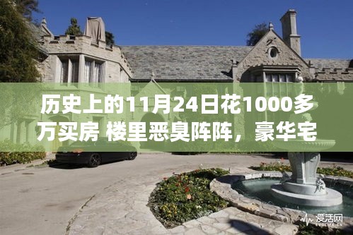 豪华宅邸深度解析，历史背景下独特购房体验揭秘