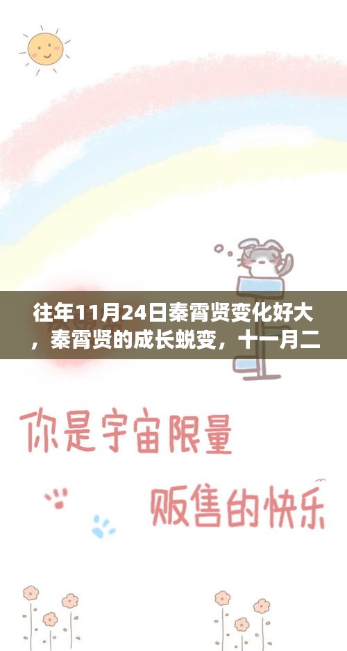 秦霄贤的成长蜕变，十一月二十四日的显著变化解析