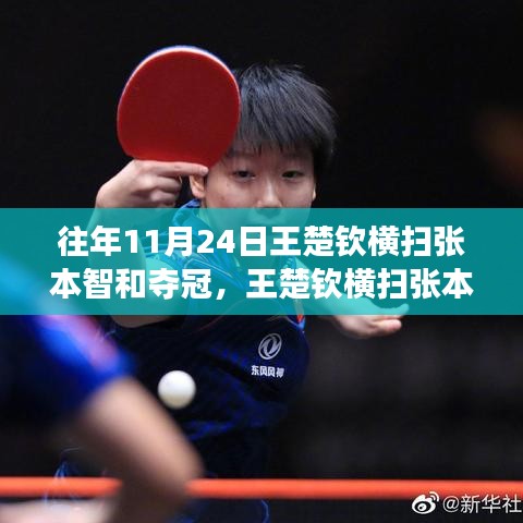 王楚钦横扫张本智和夺冠，学习与自信铸就荣耀时刻