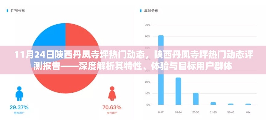 陕西丹凤寺坪热门动态深度解析，特性、体验与目标用户群体评测报告