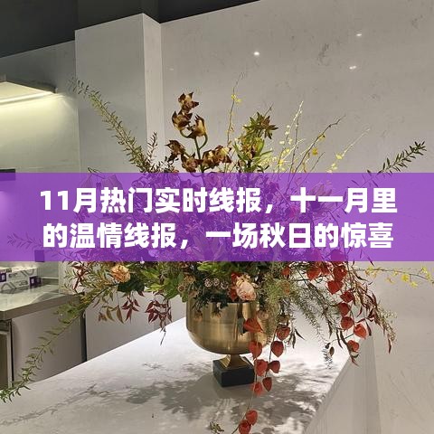 秋日惊喜与陪伴之旅，11月热门实时线报，温情满溢