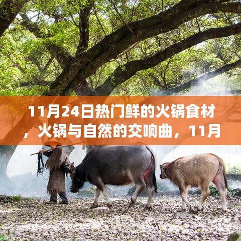 天各一方 第5页