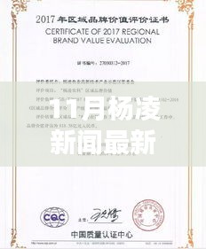 11月杨凌新闻深度报道，最新动态及影响回顾