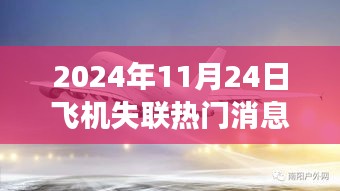 飞机失联事件揭秘，希望之光照亮未知之旅，学习变化塑造自信迎接挑战