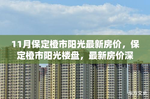 保定橙市阳光楼盘最新房价深度解析与全方位测评报告