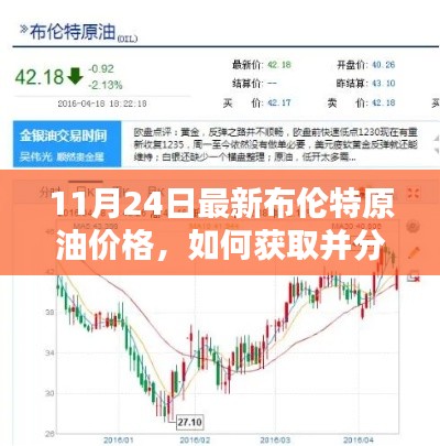11月24日布伦特原油价格的获取与分析，详细步骤指南