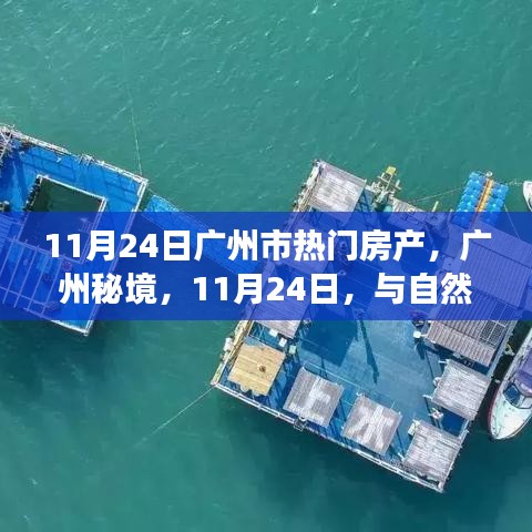 广州秘境，探寻房产新风尚与自然共舞的心灵之旅（11月24日热门房产）