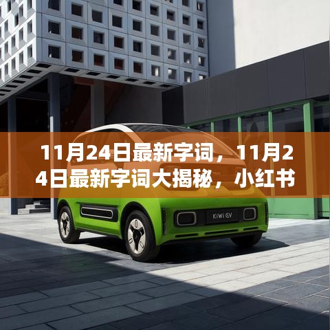小红书流行语言风暴，揭秘最新字词大揭秘（11月24日更新）