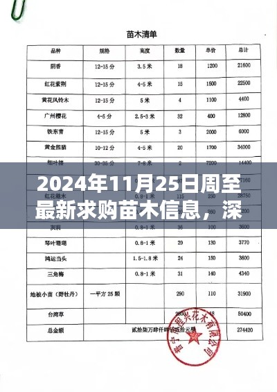 独家解析，周至县最新苗木求购信息深度解读（2024年11月25日）