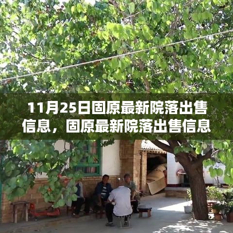 固原最新院落出售信息全攻略，教你如何获取并购买心仪院落