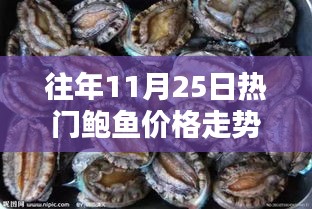 探秘鲍鱼王国，十一月二十五日鲍鱼价格走势揭秘与小巷深处的鲍鱼市场观察