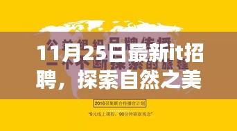 探索自然之美，启程IT新旅程，最新招聘活动即将开启