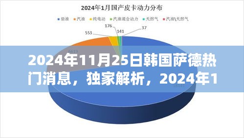 独家解析，韩国萨德反导系统最新动态报道（2024年11月25日更新）