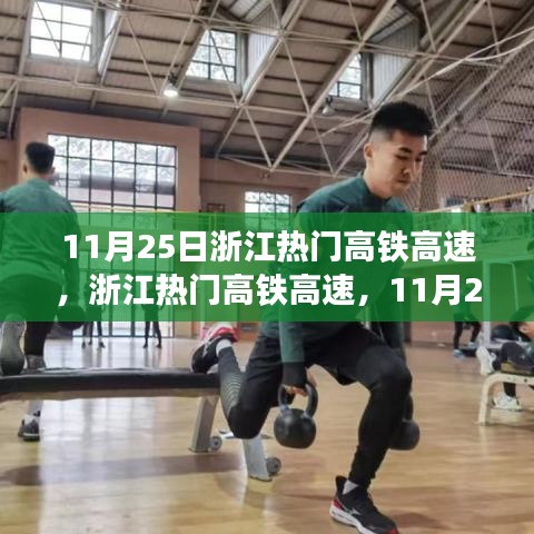 浙江热门高铁高速全新启程，速度与激情的完美融合（11月25日）