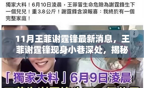 王菲谢霆锋现身小巷深处，揭秘隐藏版特色小店新动态，11月最新消息曝光
