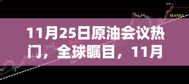 全球瞩目的11月25日原油会议深度解析与回顾，影响及展望