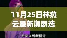 林燕云最新潮剧选段，传统艺术的现代魅力深度解读与赏析