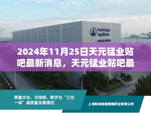 天元锰业最新动态，产业消息与个人观点探析（2024年11月25日）