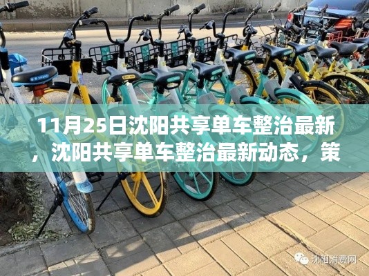 沈阳共享单车整治最新动态，策略调整与未来展望（更新至11月25日）