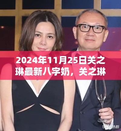 关之琳最新八字奶测评详解，特性、体验、对比与用户群体分析