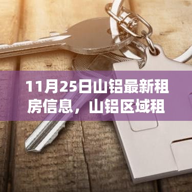11月25日山铝区域租房动态，最新信息与深度观察