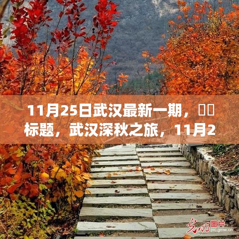 购物流程 第229页