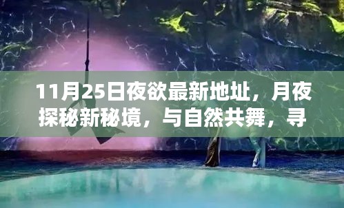 月夜探秘新秘境，寻找内心的宁静港湾 - 11月25日夜最新地址分享
