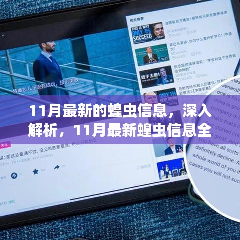 11月最新蝗虫信息深度解析与全面评测