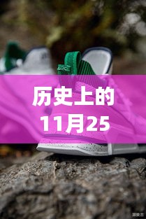 李宁运动鞋最新款，历史步伐与自我超越的励志之旅——11月25日焦点展示