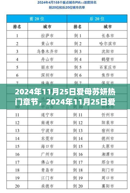 爱母苏妍，情感与成长的深度探索——2024年11月25日热门章节