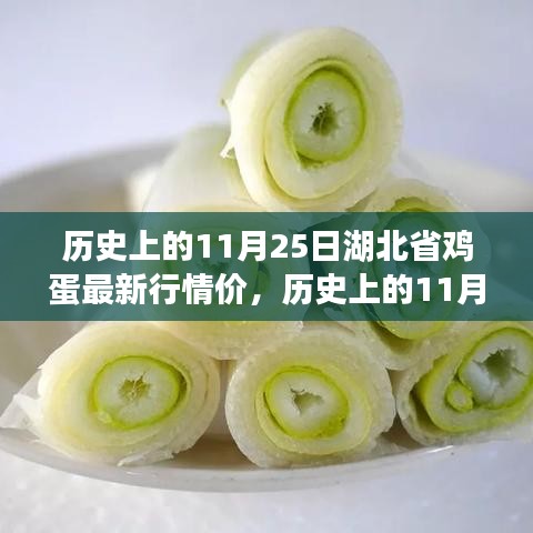 湖北省鸡蛋行情深度解析，历史价格与市场走势指南 11月25日最新行情价关注！
