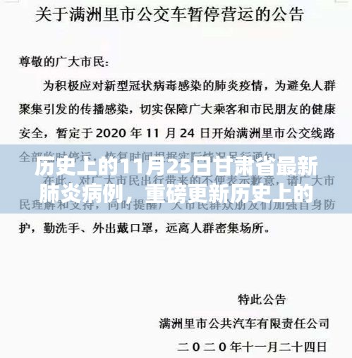 11月25日甘肃省新冠肺炎病例深度解析，历史病例回顾与剖析