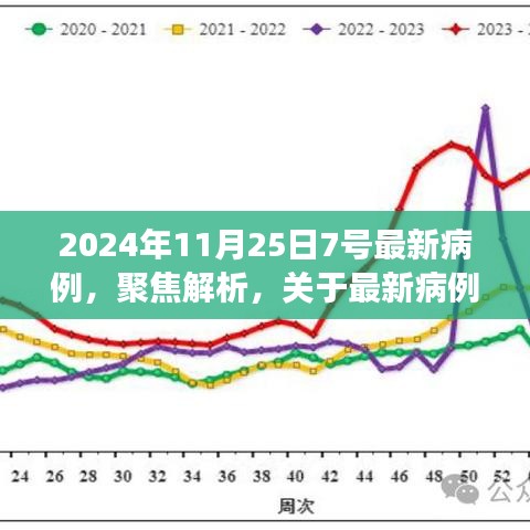 关于最新病例的三大要点解读，聚焦最新病例报告（来自2024年11月25日）