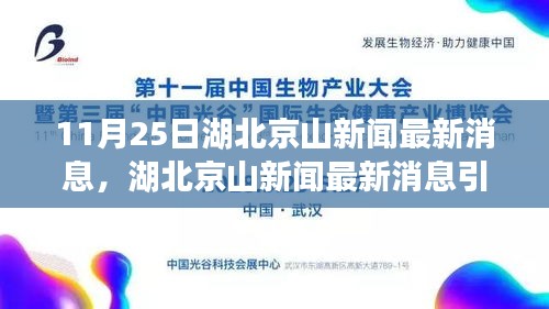 湖北京山新闻热议，最新消息与深度观点解析